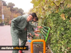 زیباسازی پردیس به همت کانون جهاد و خدمات رفاهی :