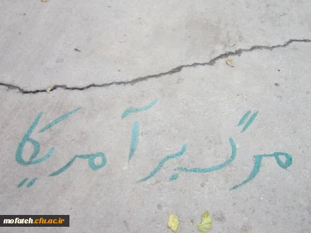 زیباسازی پردیس به همت کانون جهاد و خدمات رفاهی :