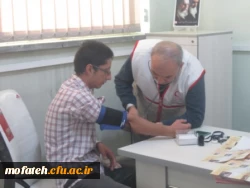 بسیج و سلامت پایدار