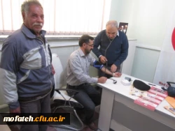 بسیج و سلامت پایدار