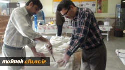 نمایشگاه پژوهش همراه با خلاقیت های هنری