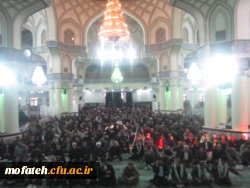 9 دی ، روز بصیرت ، تجدید بیعت امت با ولایت