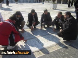 9 دی ، روز بصیرت ، تجدید بیعت امت با ولایت