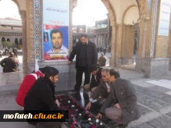 9 دی ، روز بصیرت ، تجدید بیعت امت با ولایت