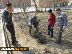 آیین مهر ورزی به طبیعت و توسعه فضای سبز