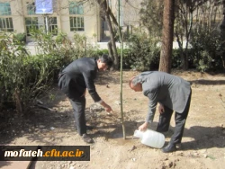 آیین مهر ورزی به طبیعت و توسعه فضای سبز