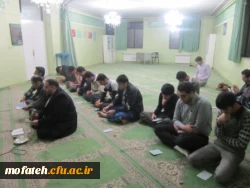 مراسم زیارت عاشورا و عزاداری فاطمه