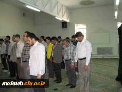 یک بخش ویژه