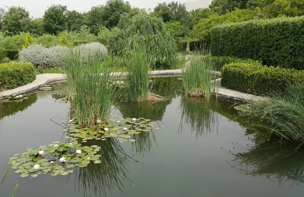 بازدید علمی دانشجویان کارشناسی ناپیوسته رشته مطالعات اجتماعی پردیس شهید مفتح شهرری از باغ گیاه شناسی ایران 5