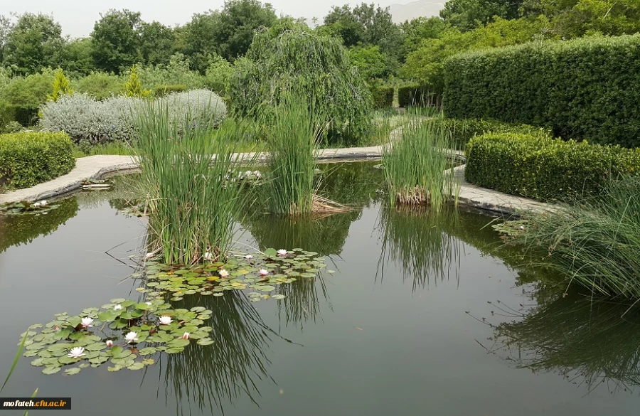 بازدید علمی دانشجویان کارشناسی ناپیوسته رشته مطالعات اجتماعی پردیس شهید مفتح شهرری از باغ گیاه شناسی ایران 5