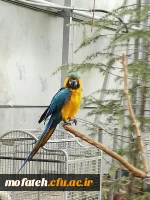 بازدید علمی دانشجویان از باغ پرندگان و تپه های شیان 6