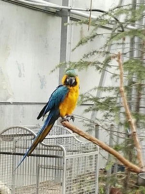 بازدید علمی دانشجویان از باغ پرندگان و تپه های شیان 6