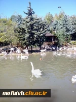 بازدید علمی دانشجویان از باغ پرندگان و تپه های شیان 7