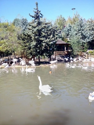 بازدید علمی دانشجویان از باغ پرندگان و تپه های شیان 7