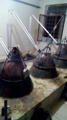 بازدید علمی گروه مطالعات اجتماعی از اماکن تاریخی کاشان  4