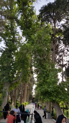 بازدید علمی گروه مطالعات اجتماعی از اماکن تاریخی کاشان  5