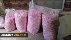 بازدید دانشجومعلمان کارشناسی ناپیوسته از روستای تاریخی ابیانه وکله  19