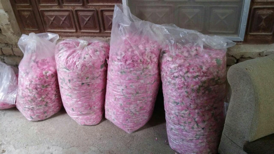 بازدید دانشجومعلمان کارشناسی ناپیوسته از روستای تاریخی ابیانه وکله  19