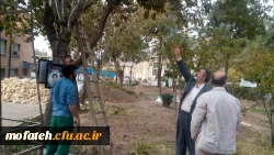 آماده سازی بوستان شهید در پردیس جهت میزبانی از شهید گمنام