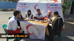 جشنواره غذا 