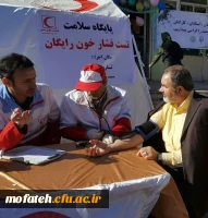 جشنواره غذا 