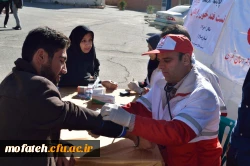 جشنواره غذا 