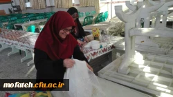 جشنواره غذا 