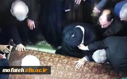 آرام گرفتن  مرید در کنار مراد