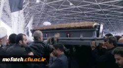 آرام گرفتن  مرید در کنار مراد