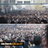 مرید در کنار مراد آرام گرفت