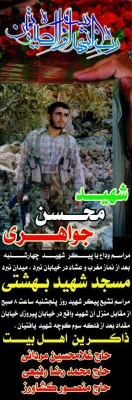 شهادت هنر مردان است