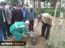 کاشت نهال درهفته منابع  طبیعی