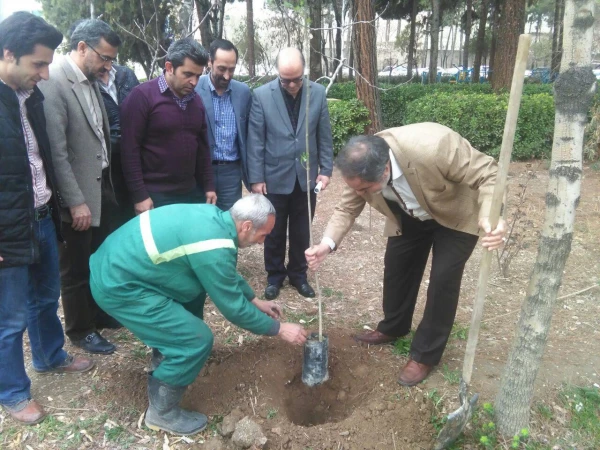 کاشت نهال درهفته منابع  طبیعی