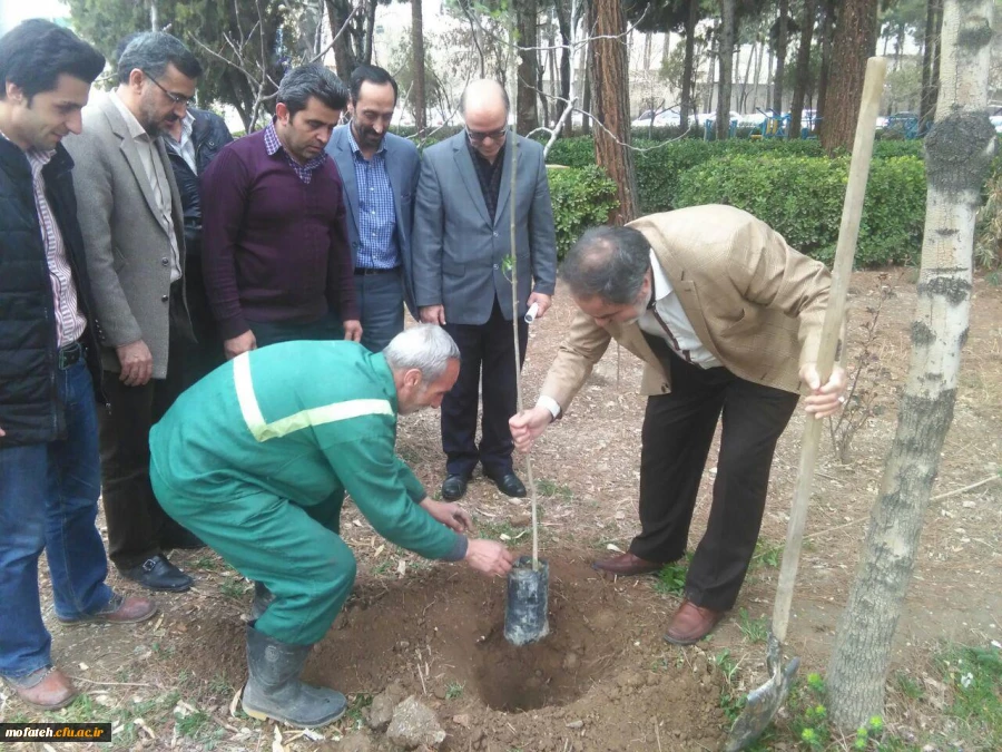 کاشت نهال درهفته منابع  طبیعی