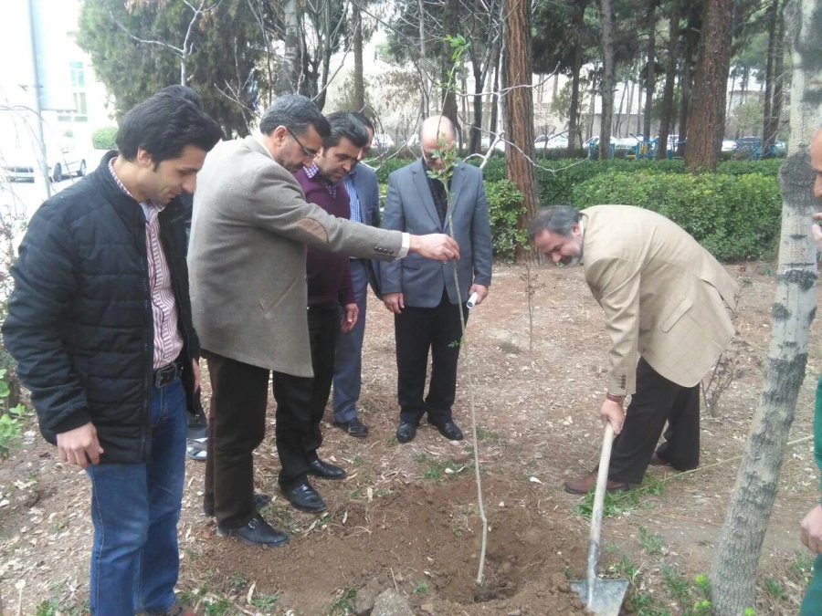 کاشت نهال درهفته منابع  طبیعی