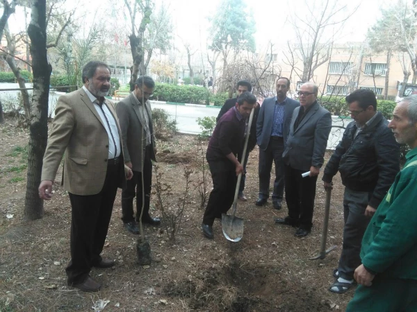 کاشت نهال درهفته منابع  طبیعی