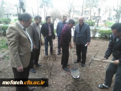 کاشت نهال درهفته منابع  طبیعی