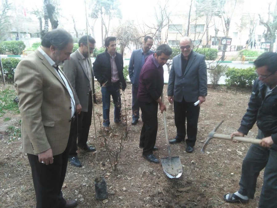 کاشت نهال درهفته منابع  طبیعی