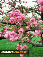 نشست صمیمانه اعضای خانواده پردیس شهید مفتح