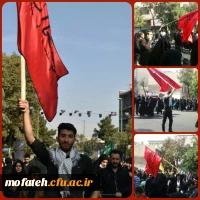 اربعین در قبله تهران