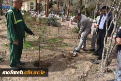 کاشت درخت در بوستان شهید