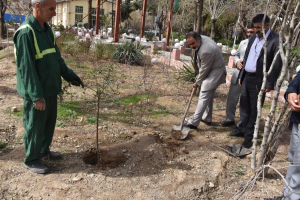 کاشت درخت در بوستان شهید