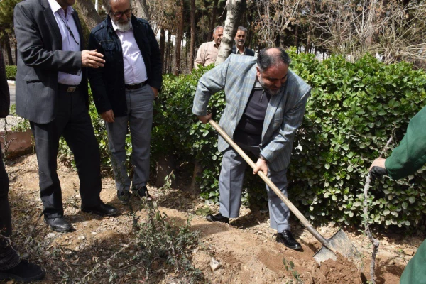 کاشت درخت در بوستان شهید