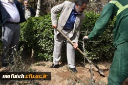 کاشت درخت در بوستان شهید