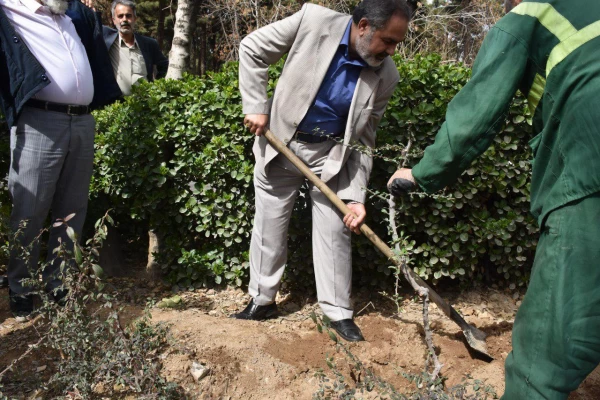 کاشت درخت در بوستان شهید