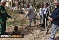 کاشت درخت در بوستان شهید