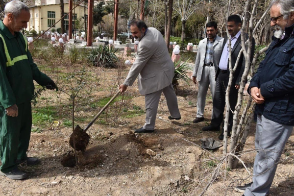 کاشت درخت در بوستان شهید