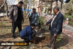 کاشت درخت در بوستان شهید