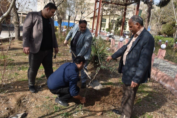 کاشت درخت در بوستان شهید