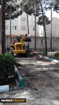 پاک سازی محوطه پردیس
